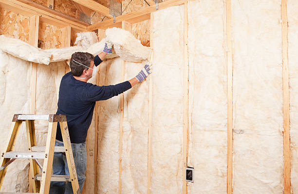 Best Attic Insulation Installation  in Nolanville, TX