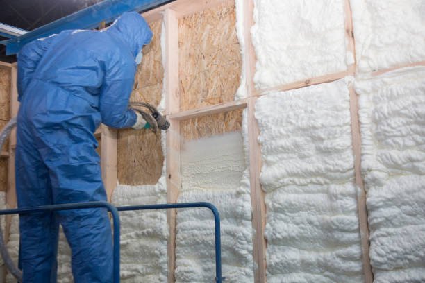 Best Spray Foam Insulation  in Nolanville, TX